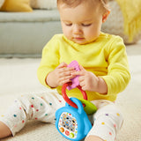 Fisher-Price Laugh & Learn DigiPuppy Musical Toy